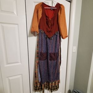 Mary Sandersom Witch Costume and Cape